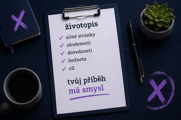 Audit a příprava životopisu